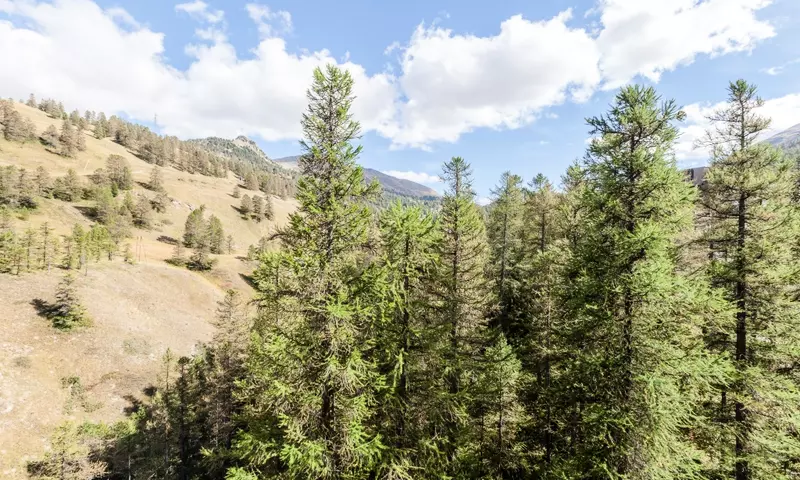 2 Pièces 6 Personnes Confort