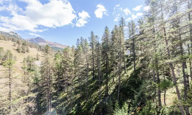 Studio 5 Personnes Confort