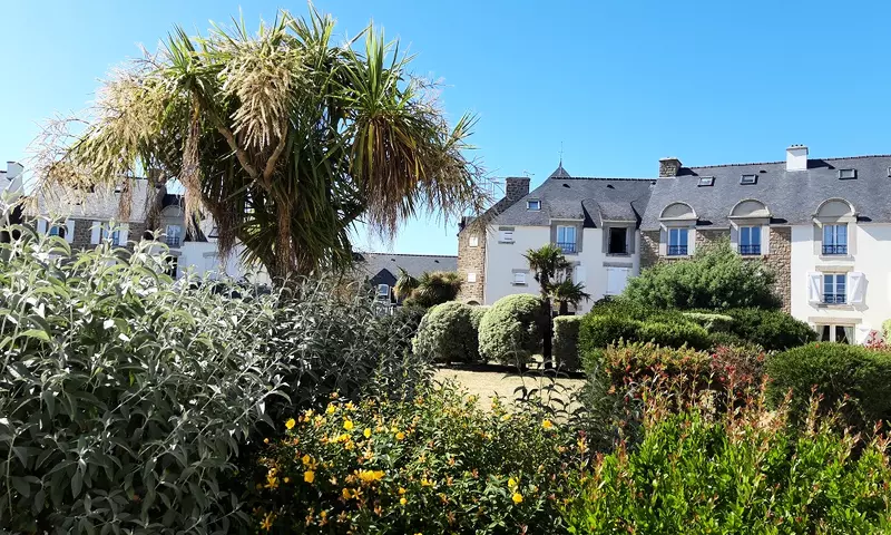 Appartement 2 Pièces 5 Personnes - Confort