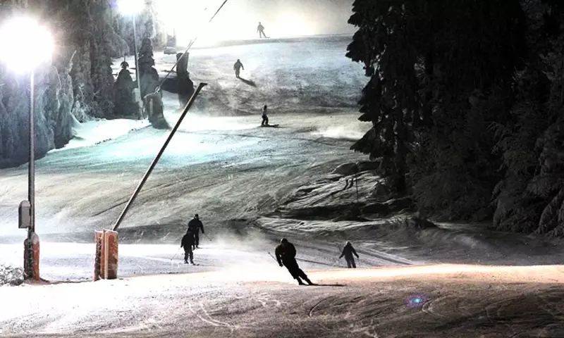 Chalet 4 Pièces 8 personnes