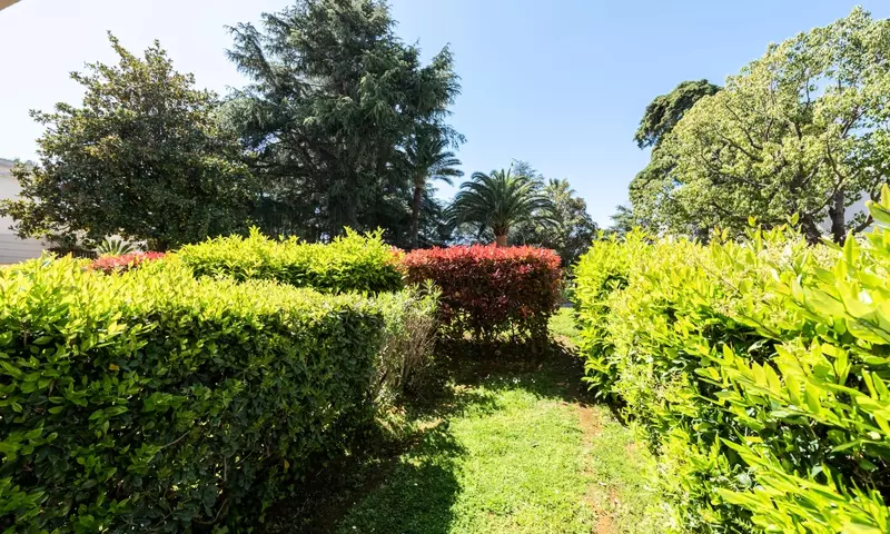 Appartement 2 Pièces 4 Personnes - Sélection - Super Home