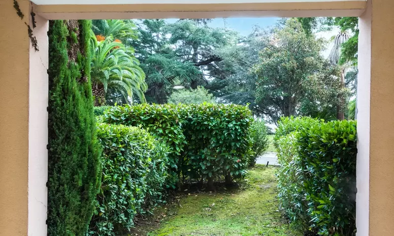 Appartement 2 Pièces 5 Personnes - Confort