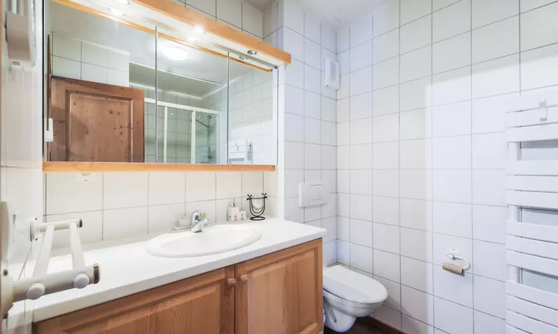 Chalet 7 Pièces 14 Personnes - Prestige