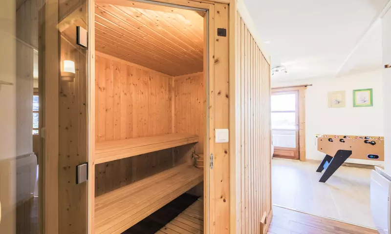 Chalet 7 Pièces 14 Personnes - Prestige