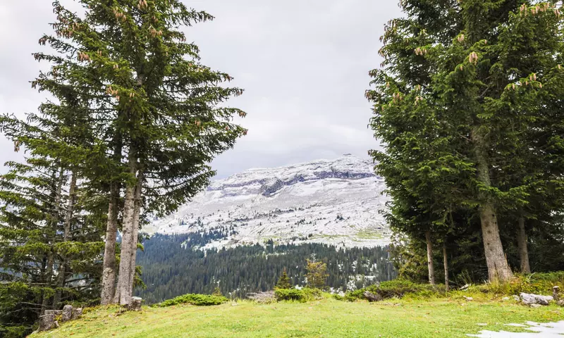 Appartement 3 Pièces 8 Personnes - Sélection