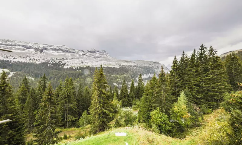 Appartement 2 Pièces 6 Personnes - Confort