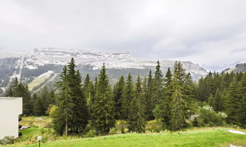 Studio 4 Personnes - Confort