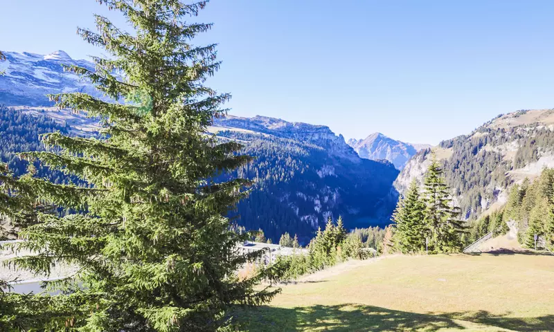 Studio 4 Personnes - Budget