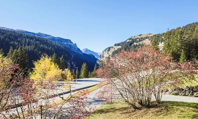 Appartement 5 Pièces 10 Personnes - Confort
