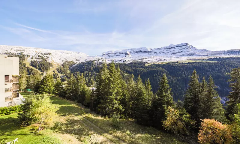 Studio 4 Personnes - Confort