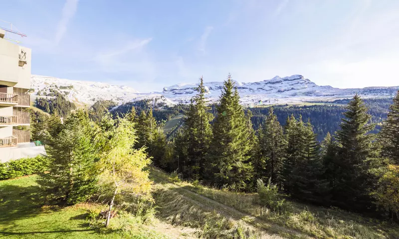 Studio 4 Personnes - Confort