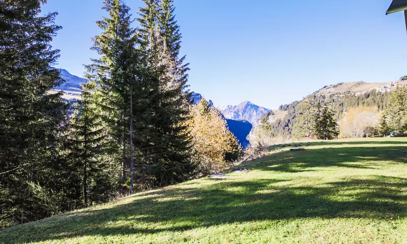 Appartement 2 Pièces 6 Personnes - Confort