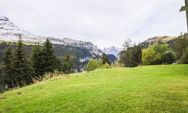 Studio 4 Personnes - Budget