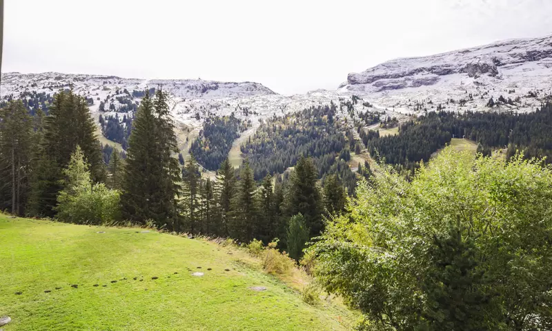 Appartement 2 Pièces 6 Personnes - Budget