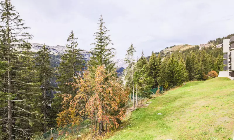 Studio 4 Personnes - Confort