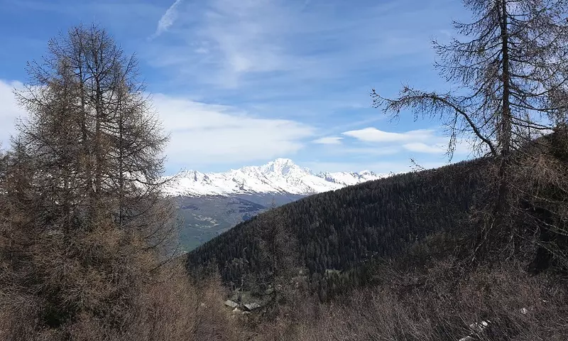 Résidence Plagne Lauze - maeva Home