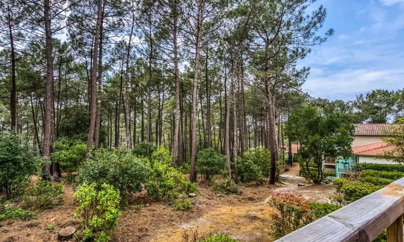 Appartement 2 Pièces 5 Personnes - Sélection