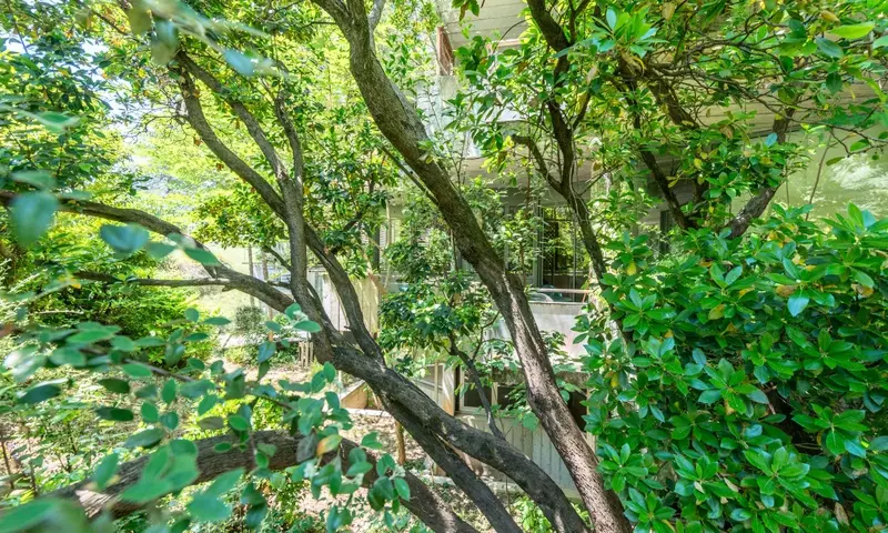 Studio 4 Personnes - Budget