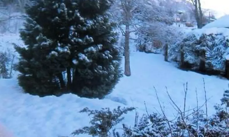 Chalet 6 Pièces 10 personnes