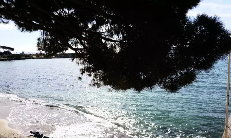 3 Pièces 6 personnes Selection