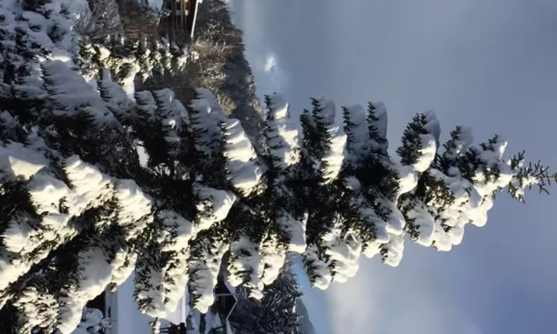 3 Pièces 5 personnes