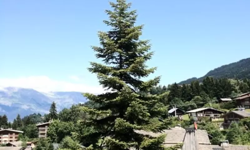 3 Pièces 5 personnes