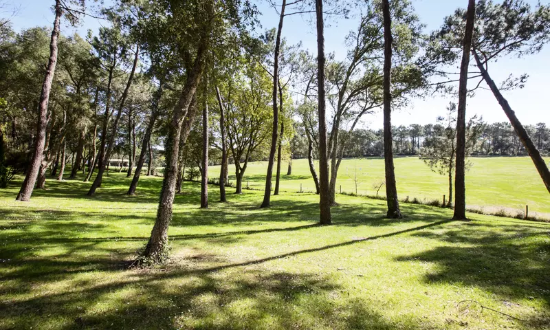 Maison 3 pièces 6 personnes Sélection