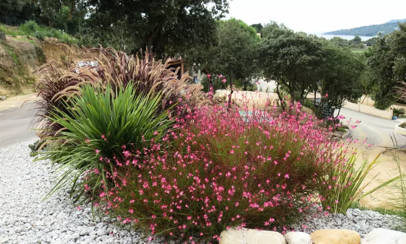 Camping maeva Escapades Le Colomba ****