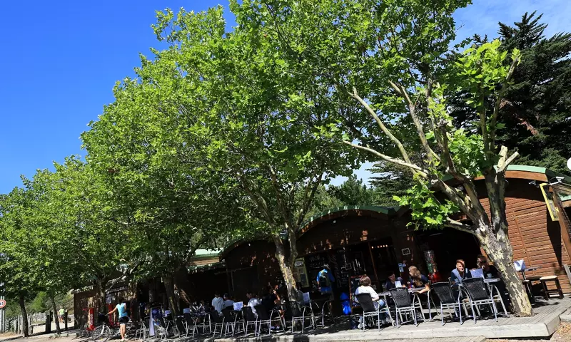 Camping Plage Des Tonnelles ****