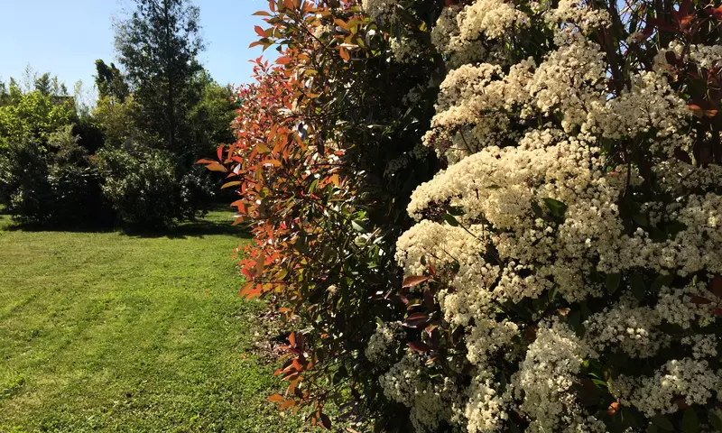 Villa 6 Pièces 12 personnes