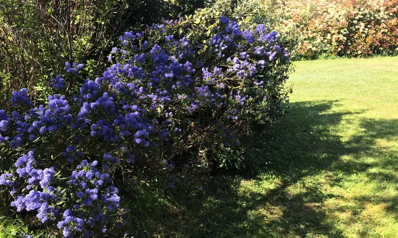 Villa 6 Pièces 12 personnes