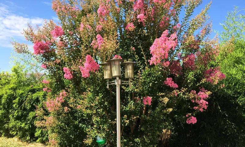 Villa 6 Pièces 12 personnes