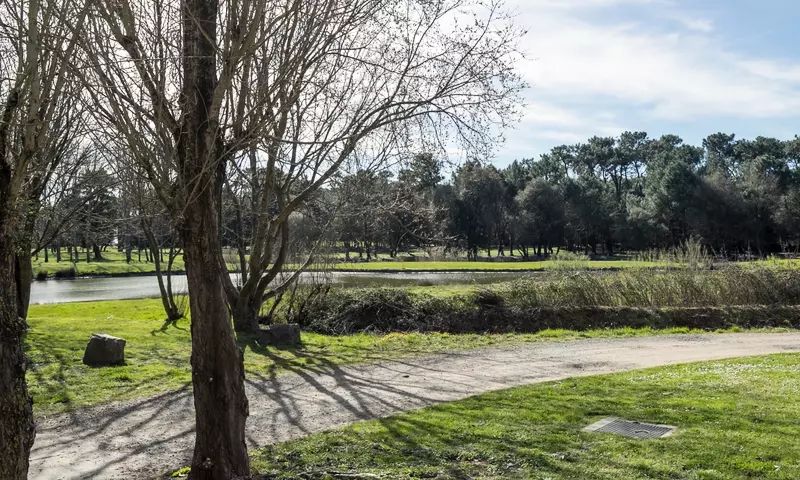 Appartement 2 Pièces 5 Personnes - Sélection