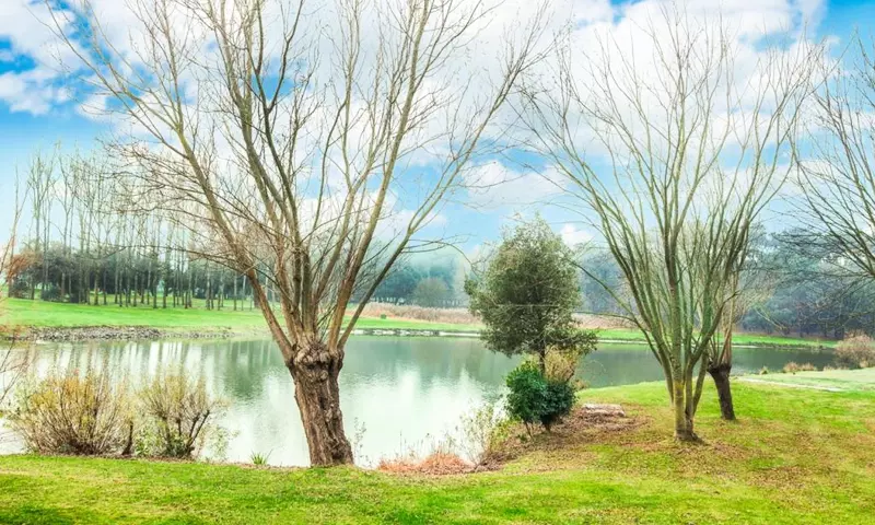 2 Pièces 5 Personnes Confort