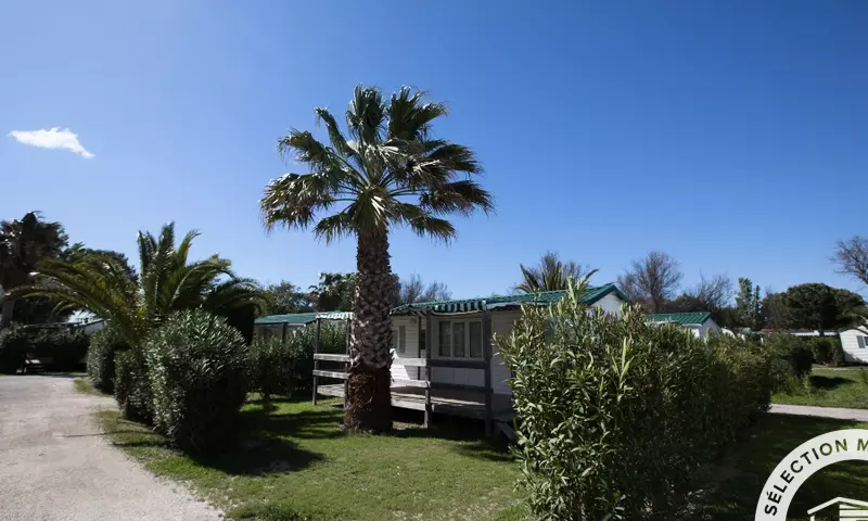 Camping Les Tropiques ****