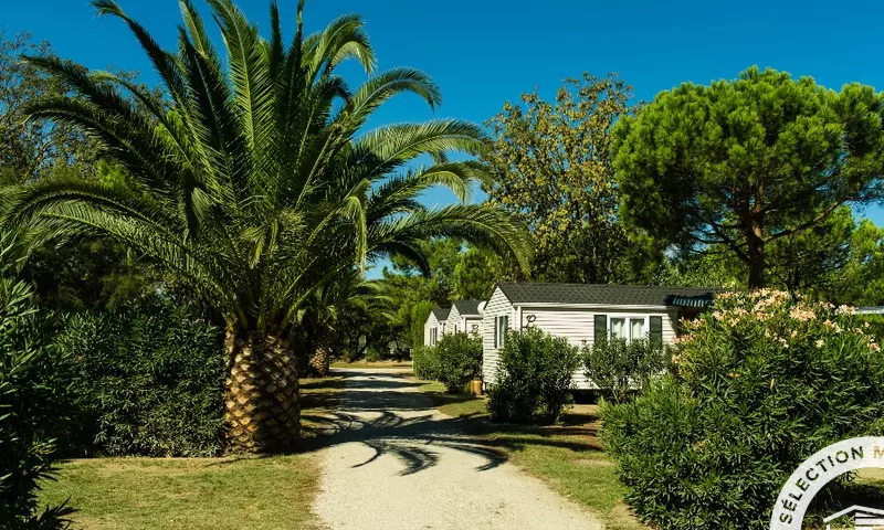 Camping Les Tropiques ****