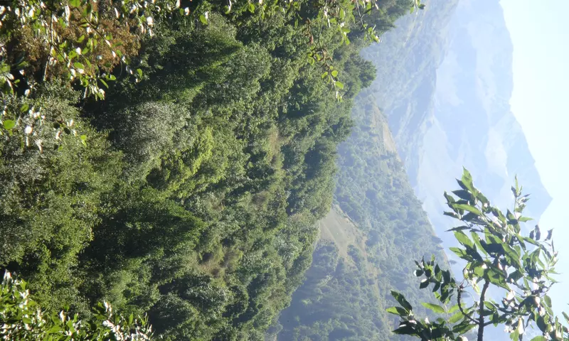 3 Pièces 6 personnes