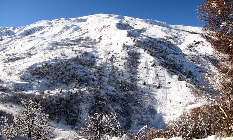 Chalet 3 Pièces 6 personnes