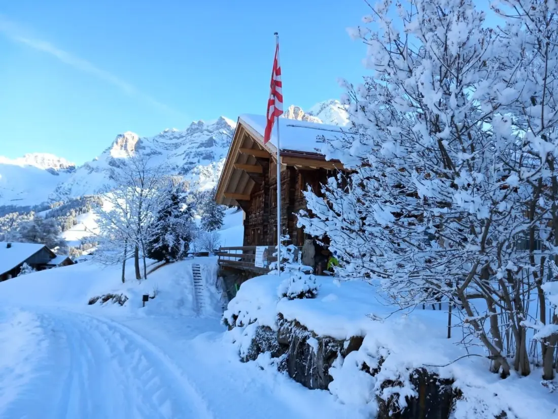 Résidence Alpen Vista