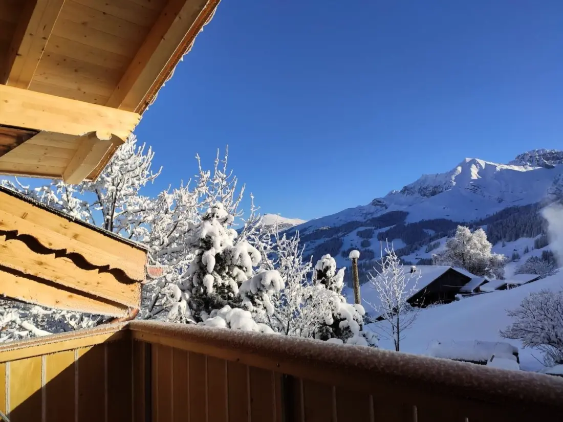 Résidence Alpen Vista