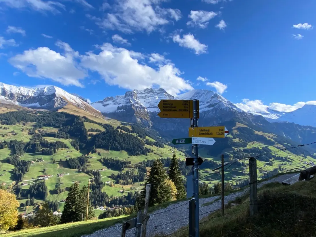 Résidence Alpenrose Appartement/Fewo, Bad, WC, 3 Schlafräume 4-Zimmerwohnung