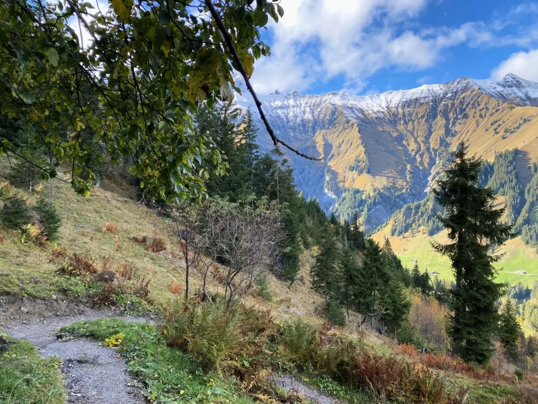 Résidence Alpenrose Appartement/Fewo, Bad, WC, 3 Schlafräume 4-Zimmerwohnung