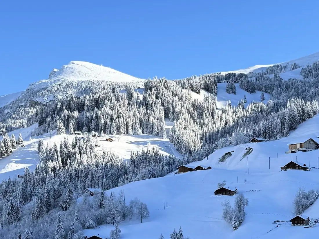 Résidence Chalet Christeli Appartement/Fewo, Dusche oder Bad, WC, 4 oder mehr Schlafräume