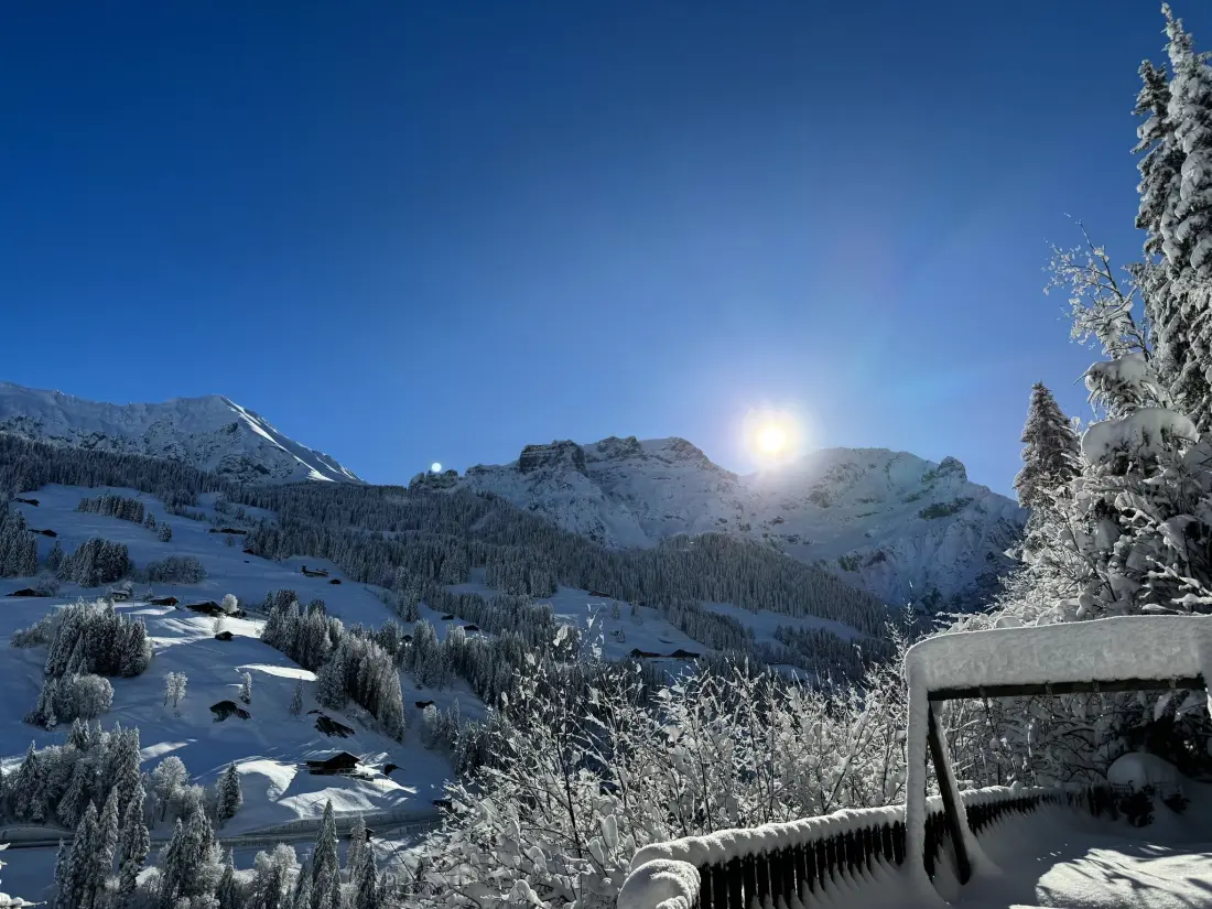Résidence Chalet Christeli Appartement/Fewo, Dusche oder Bad, WC, 4 oder mehr Schlafräume