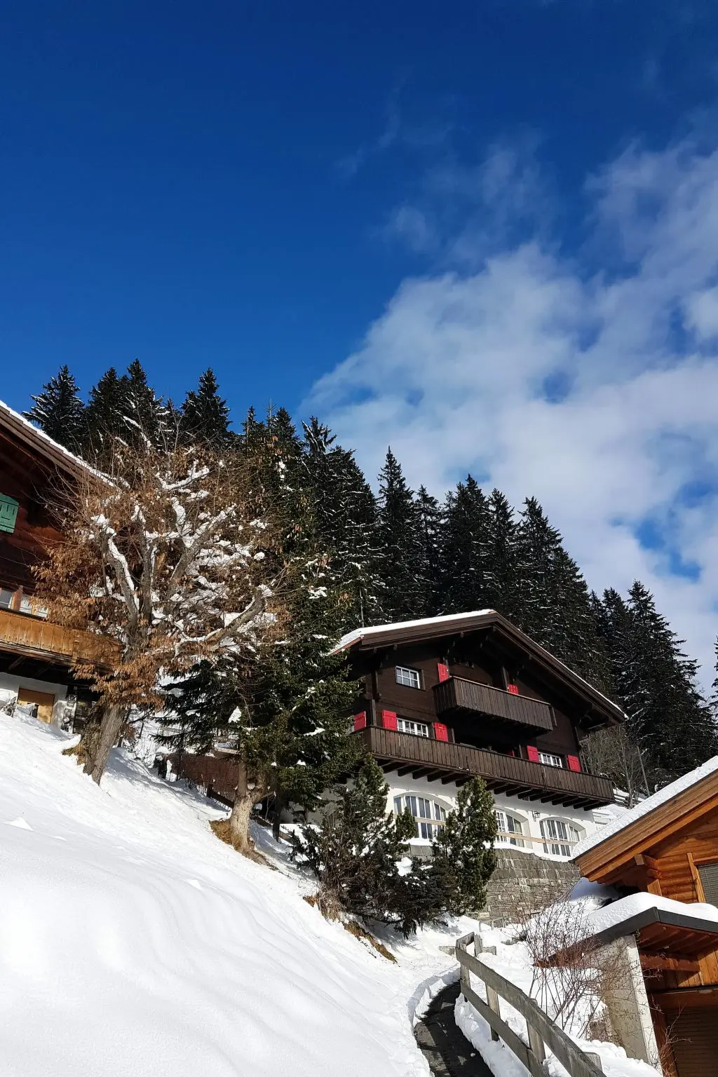 Résidence Chalet Ginette Appartement/Fewo, Bad, WC, 2 Schlafräume