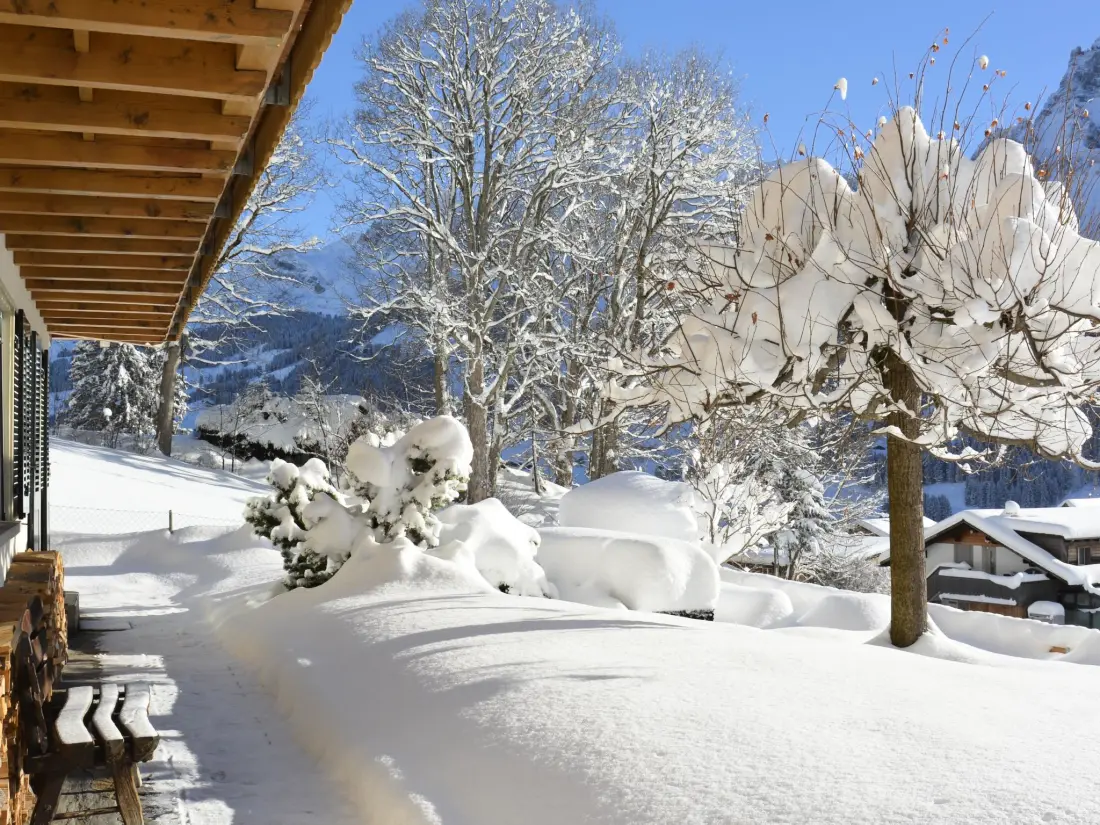 Résidence Chalet Gsür Appartement/Fewo, Bad, WC, 2 Schlafräume