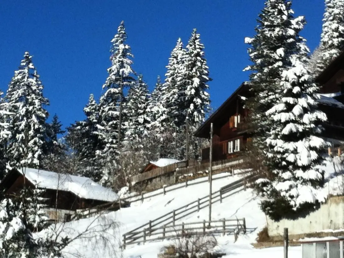 Résidence Chalet Silberdistel B11