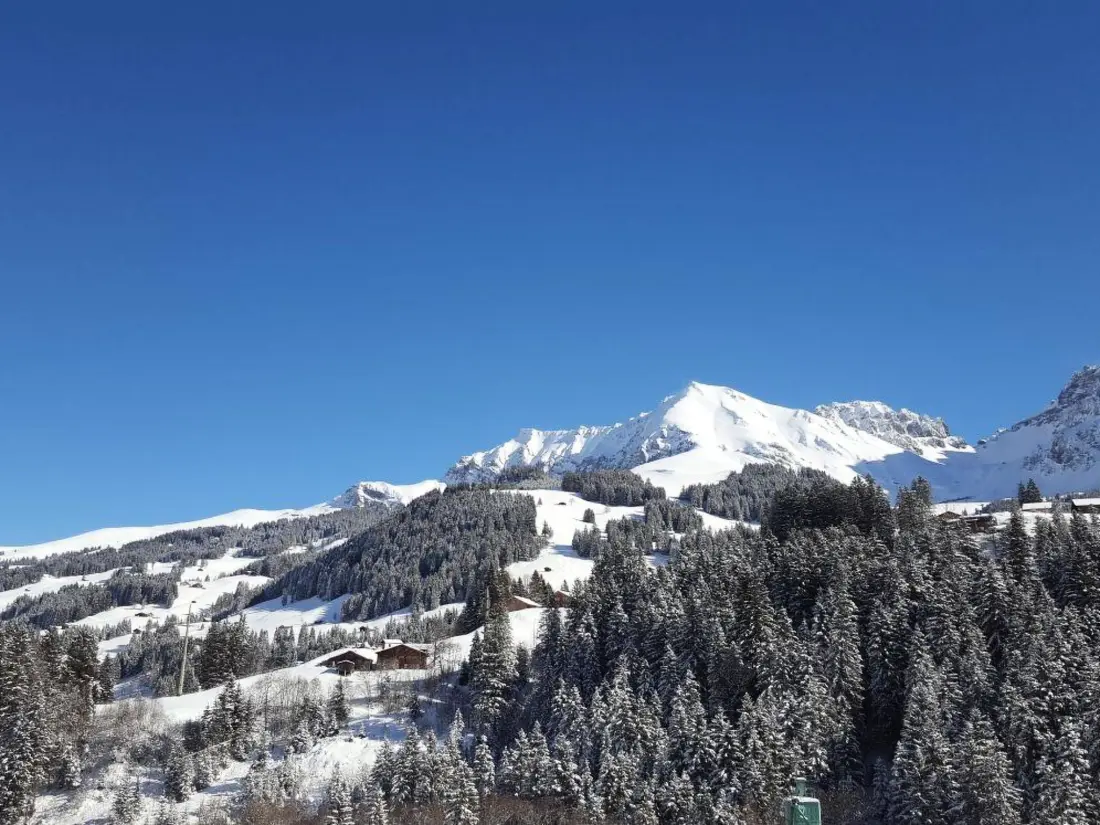 Résidence Chalet Wäschhüsi 2-Zimmerwohnung