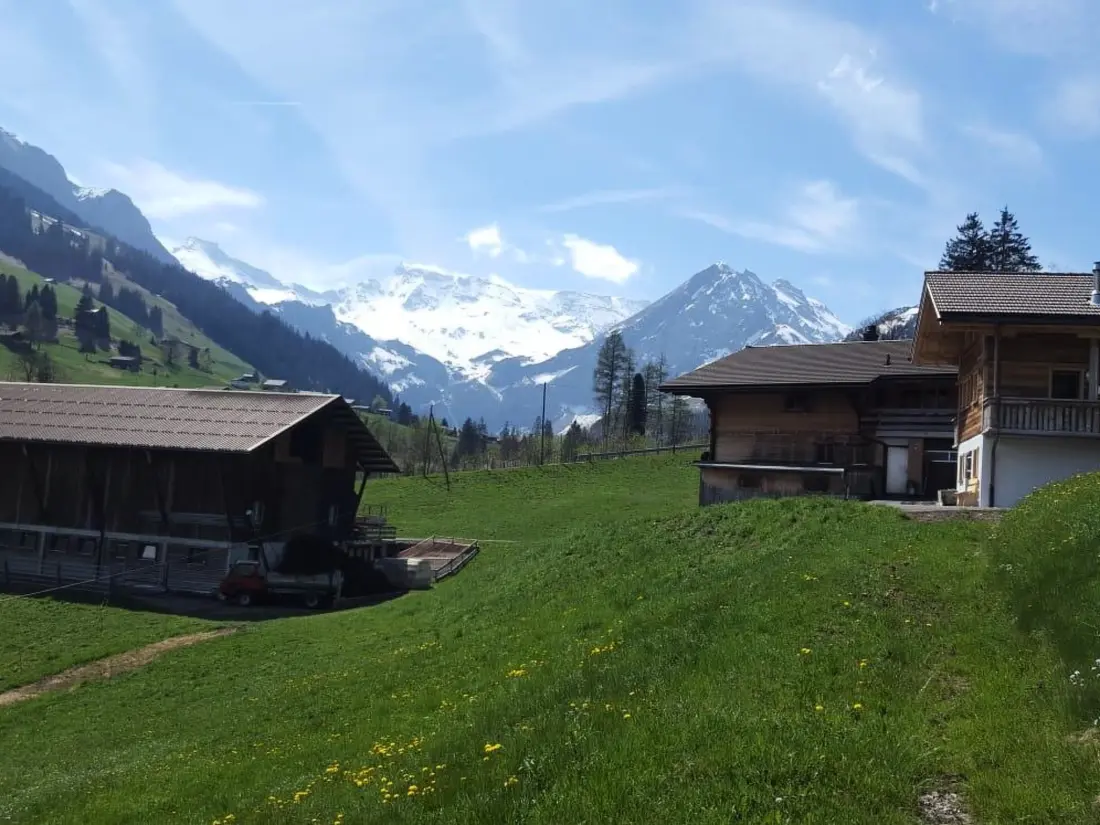 Résidence Chalet Wäschhüsi 2-Zimmerwohnung