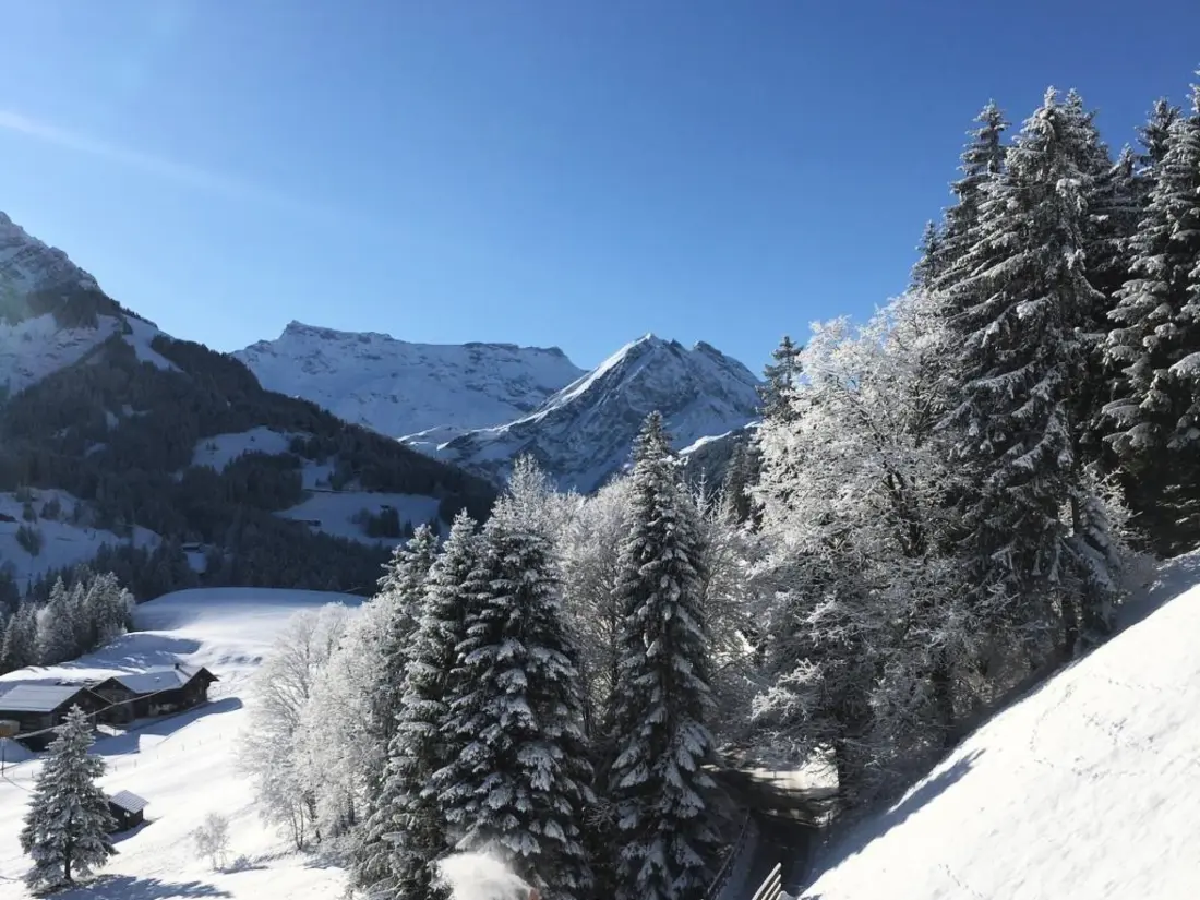 Résidence Elim Appartement/Fewo, Bad, WC, 4 oder mehr Schlafräume 5.5 Zimmerwohnung